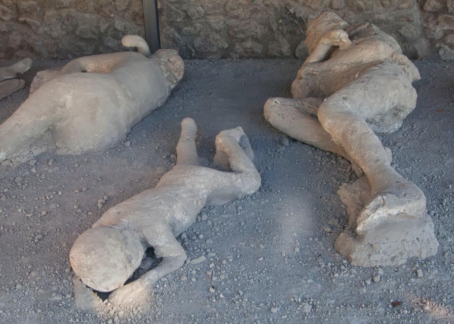 Plaster casts of Pompeii — lives frozen in ash, the moment that planted the seed