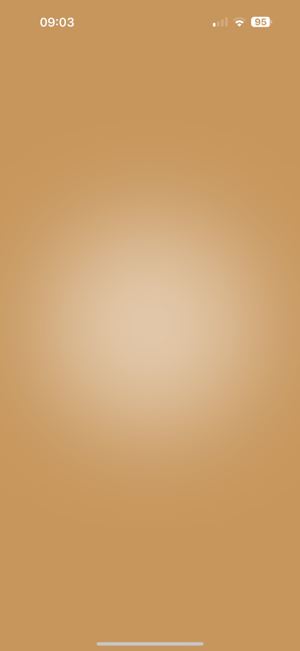 Big Bang bloom — the cosmos explodes